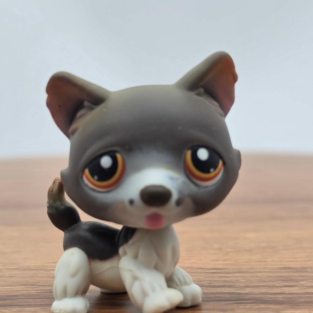 LPS Littlest Pet Shop Brown White and Gray Husky puppy Dog Figure 174